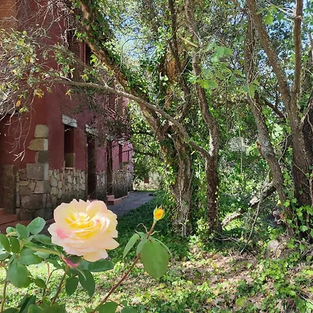 Apartamento Rurales La Oropendola *