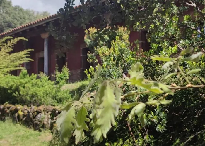 Apartment Rurales La Oropendola