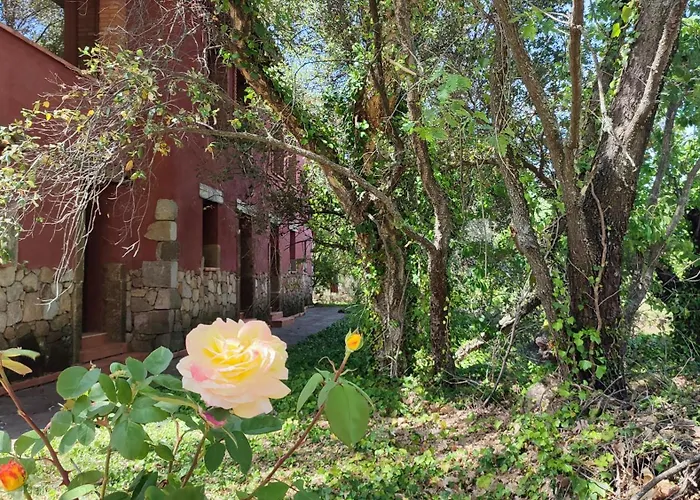 Apartment Rurales La Oropendola *