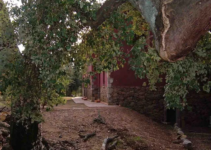 Apartment Rurales La Oropendola